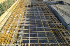IMG_20220301_103159